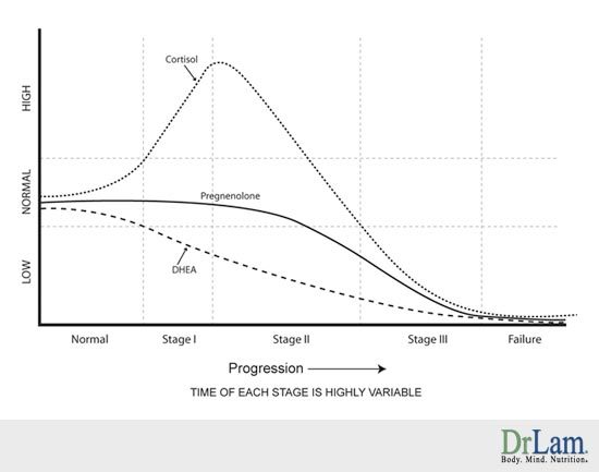 Click to enlarge adrenal fatigue