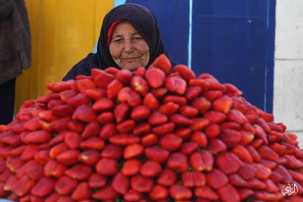 Eldery #Palestinian woman sells Strawberry in #Gaza streets