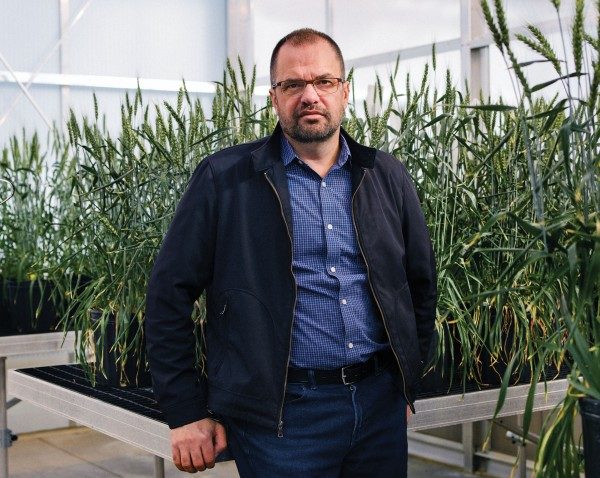 gene editing