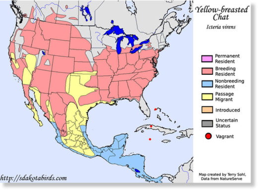 Yellow-breasted Chat - Species Range