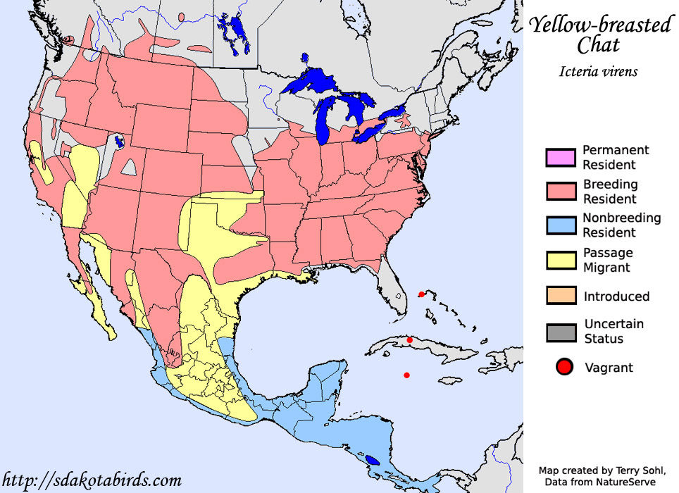 Click to enlarge Yellow-breasted Chat - Species Range