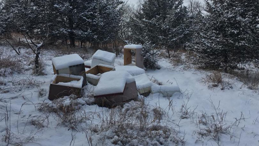 Bee boxes