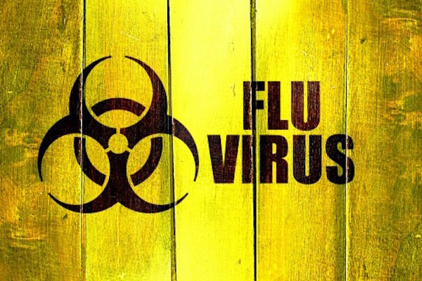 flu virus