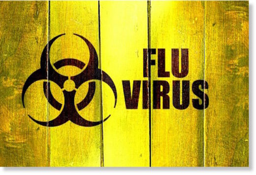 flu virus