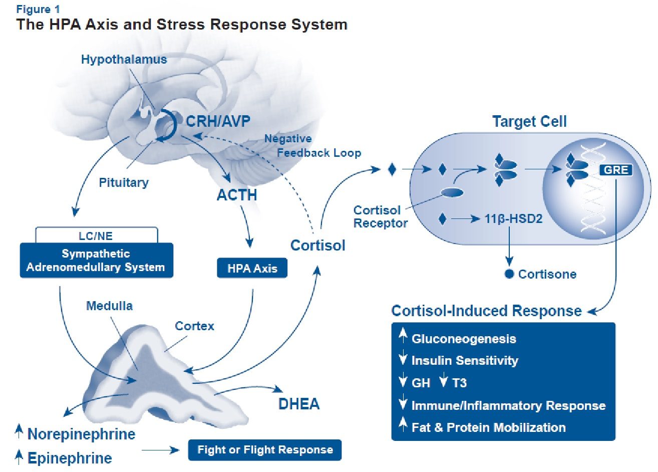 Click to enlarge HPa axis