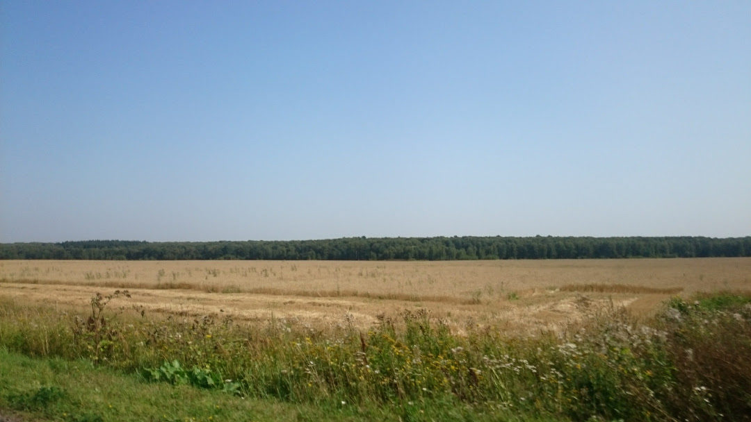 Rural field Russia