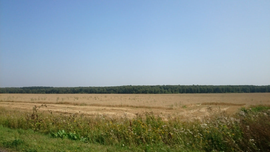 Click to enlarge Rural field Russia