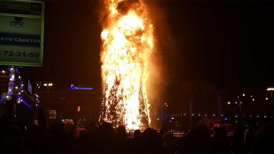 Tree on fire
