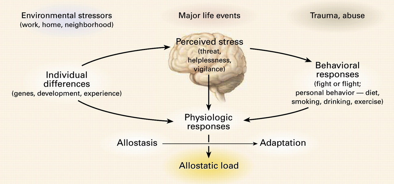 Click to enlarge brain stress