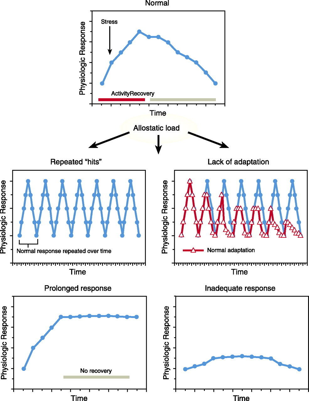 Click to enlarge allostatic changes