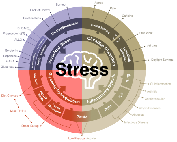 Click to enlarge stress factors