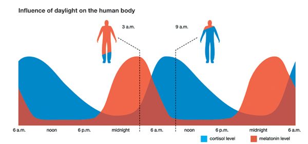 Click to enlarge melatonin cortisol