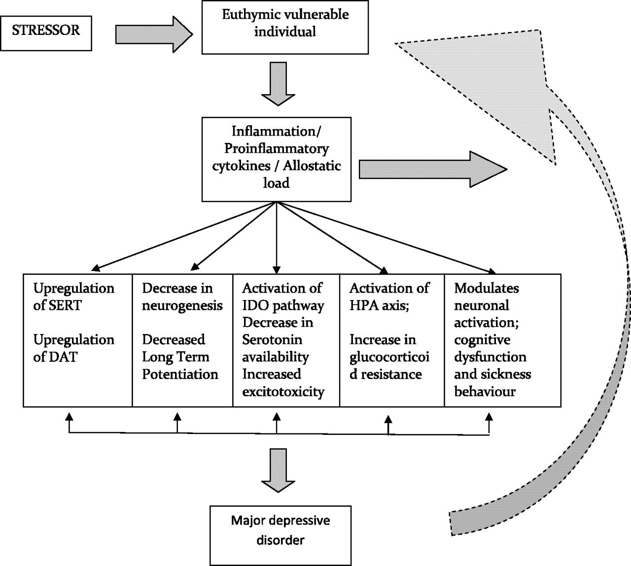 Click to enlarge depression inflammation