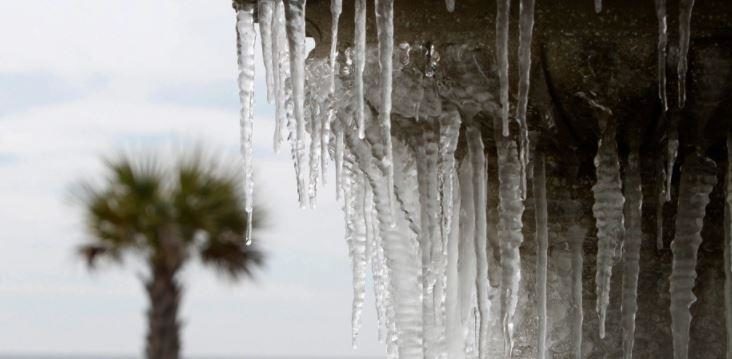 icesicles on tree