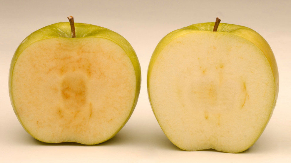 Okanagan Specialty Fruits Inc.