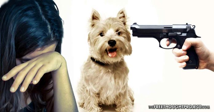 Click to enlarge cops shoot at dog