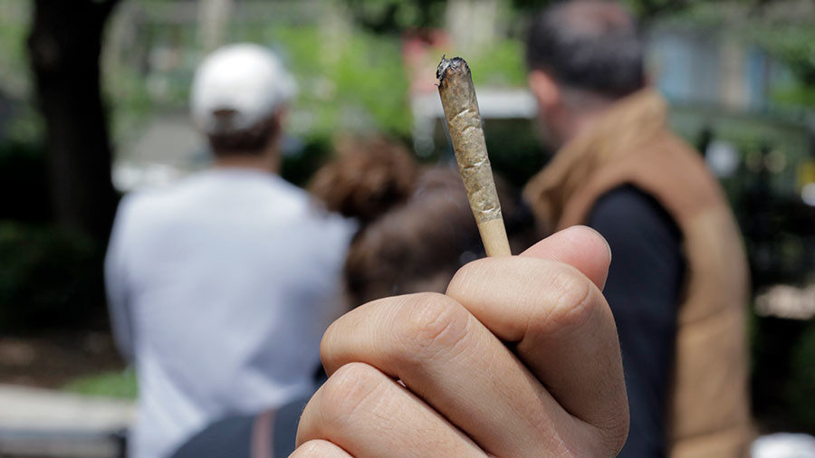 Click to enlarge marijuana