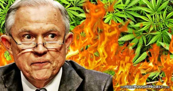 jeff sessions