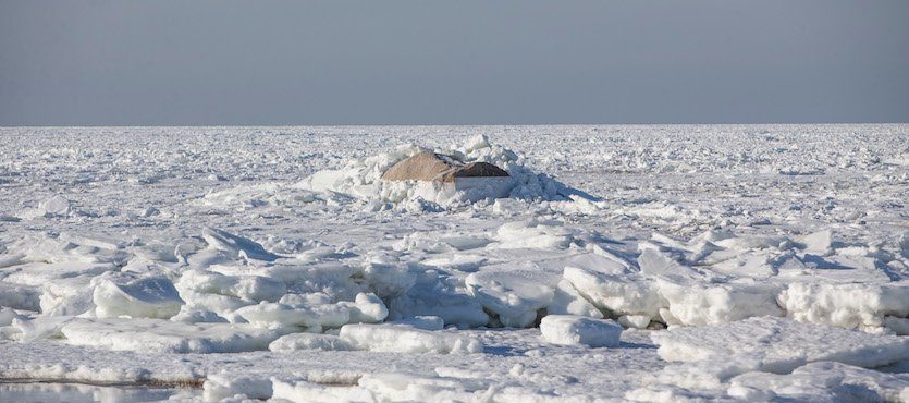 Sea ice covers Cape Cod Bay as viewed from Rock Harbor Beach, Cape Cod, in Orleans, MA, on Wed., Jan. 3, 2018. Image credit: Scott Eisen/Getty Images.