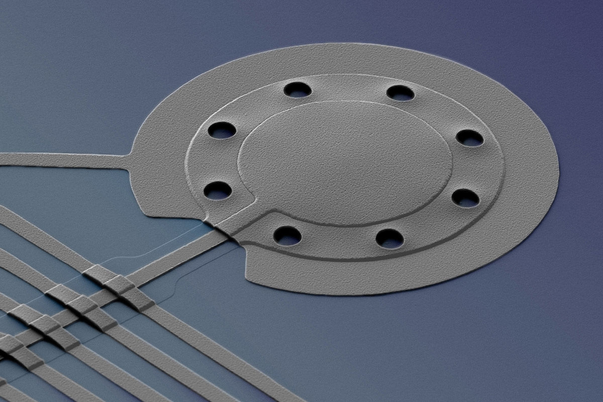 supercooled membrane physics