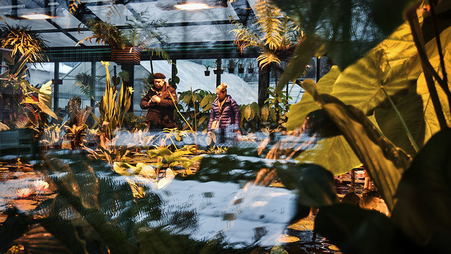 moscow botanical garden
