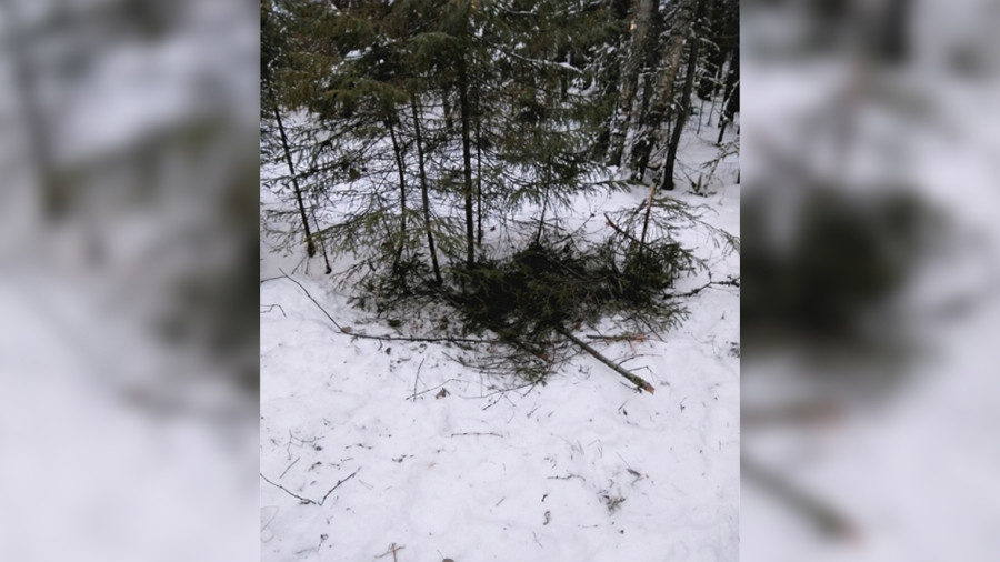 Click to enlarge make shift bed lost taiga twigs coat