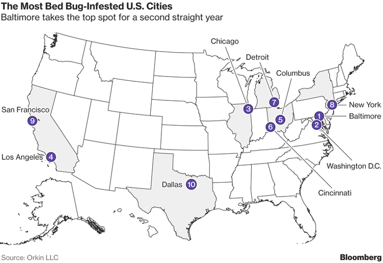 US cities bedbugs map