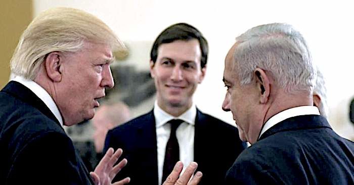 Click to enlarge The Don/Neti/Kushner