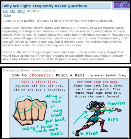 Google nazi punching