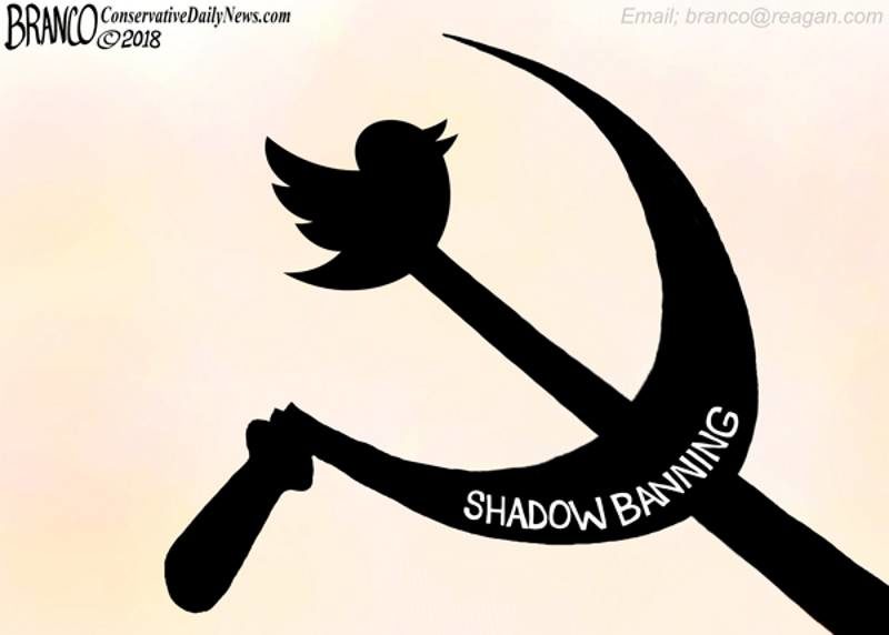 Click to enlarge twitter fascism