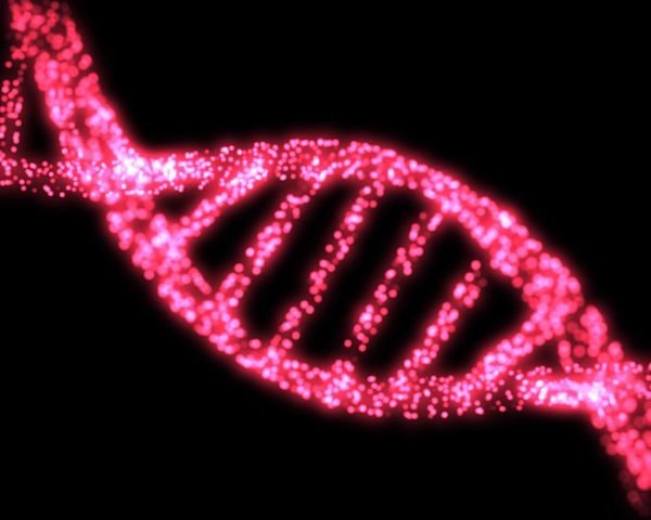 Click to enlarge DNA ADN