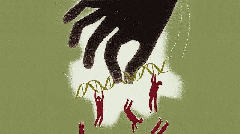 Click to enlarge Gene drives
