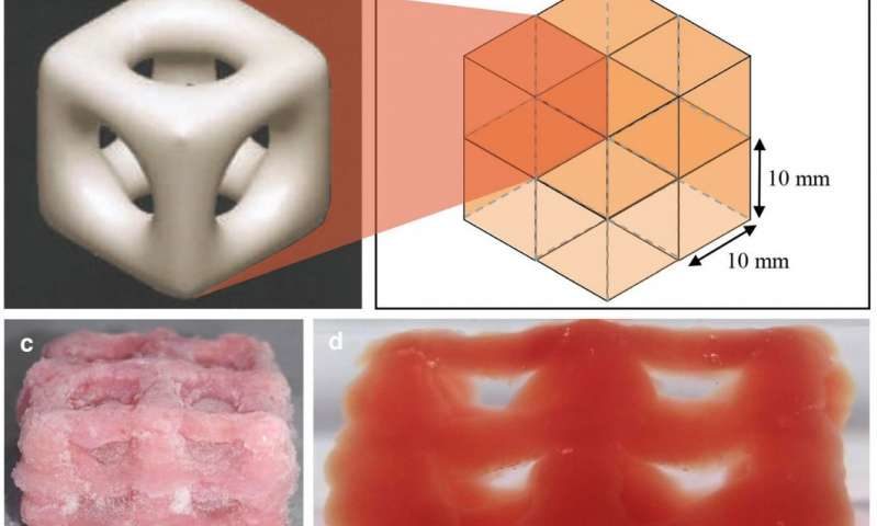 3-D cryogenics printing for human tissue