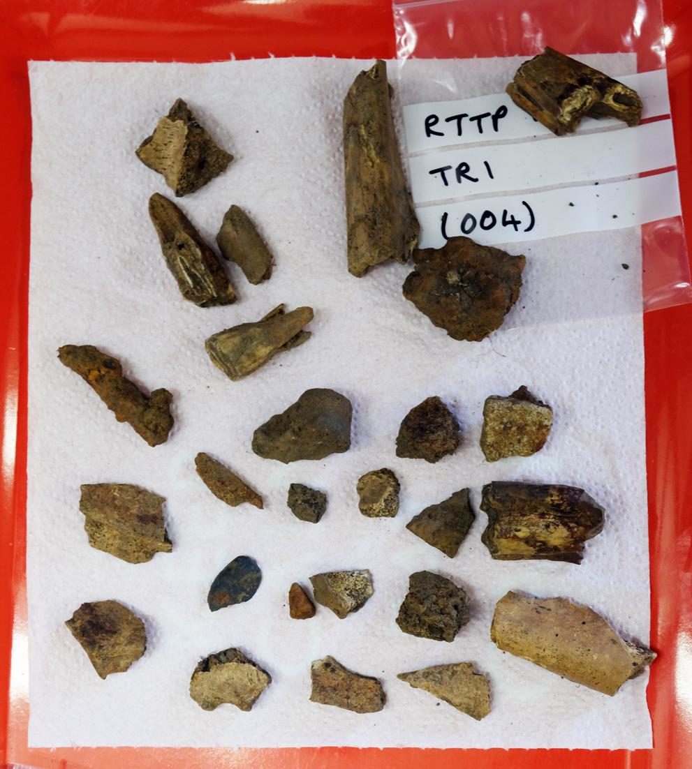 Click to enlarge Thirsk UK excavation artifacts