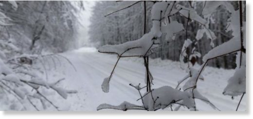 snow