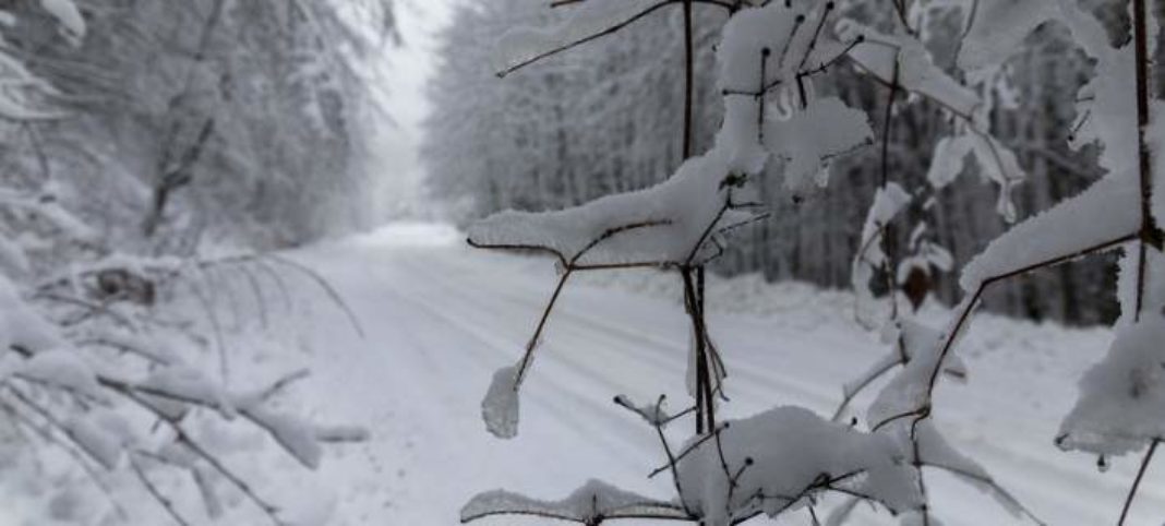 Click to enlarge snow