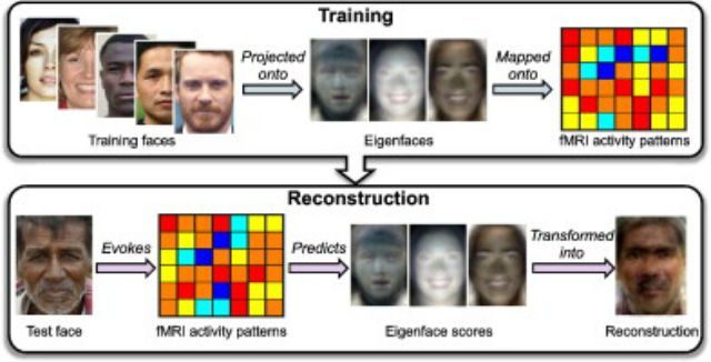 ai facial reconstruction brain scans
