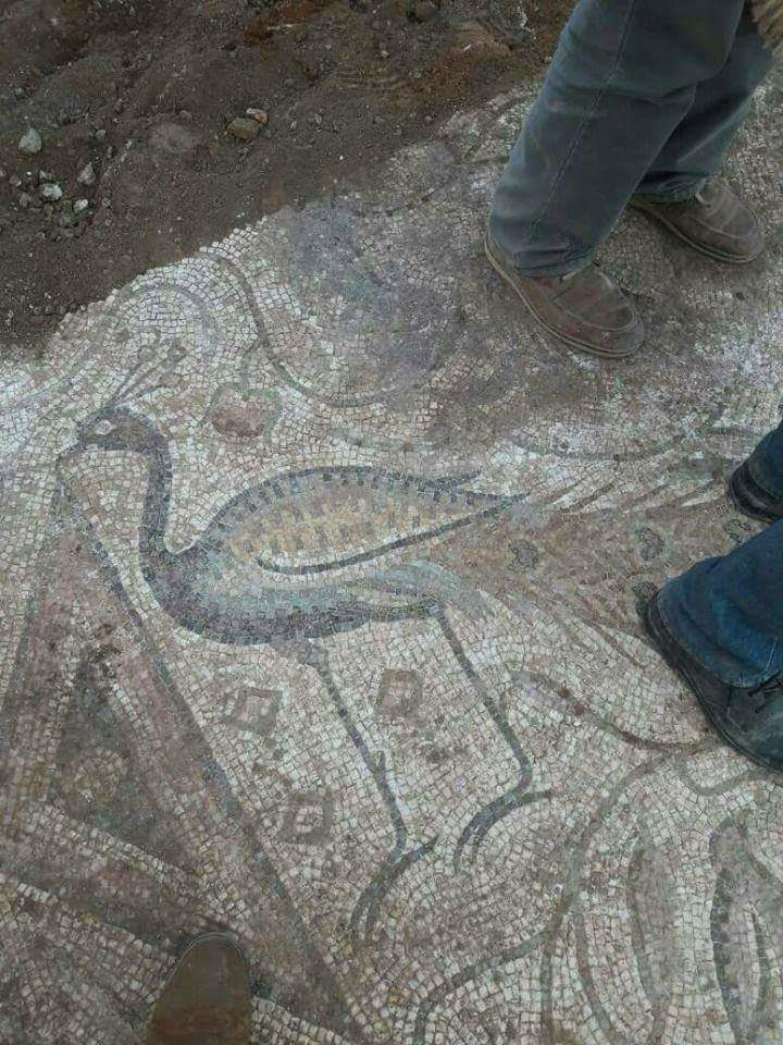 Click to enlarge greek mosaic syria