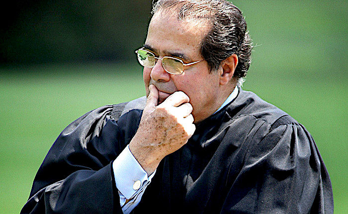 Click to enlarge JudgeScalia