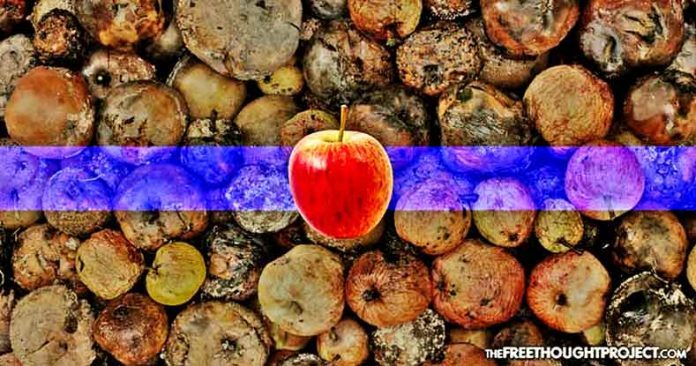 one good apple