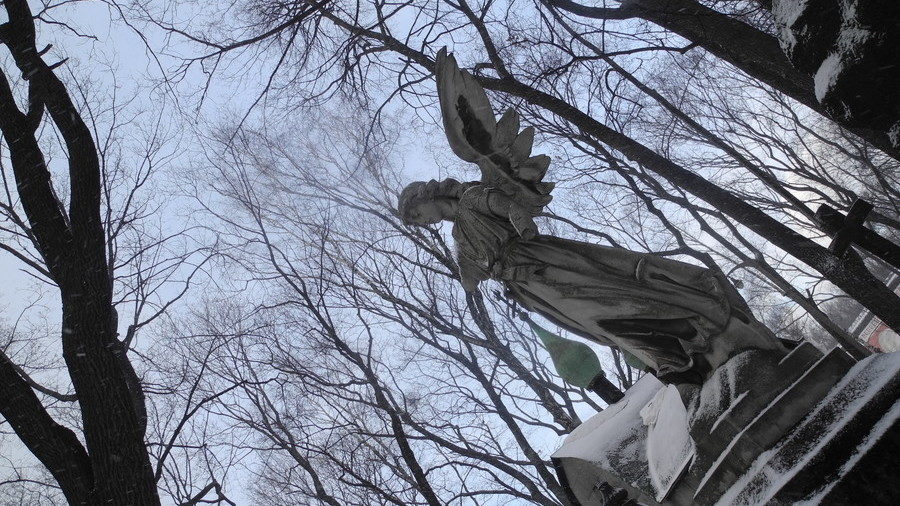 Click to enlarge Donskoy Monastery statue