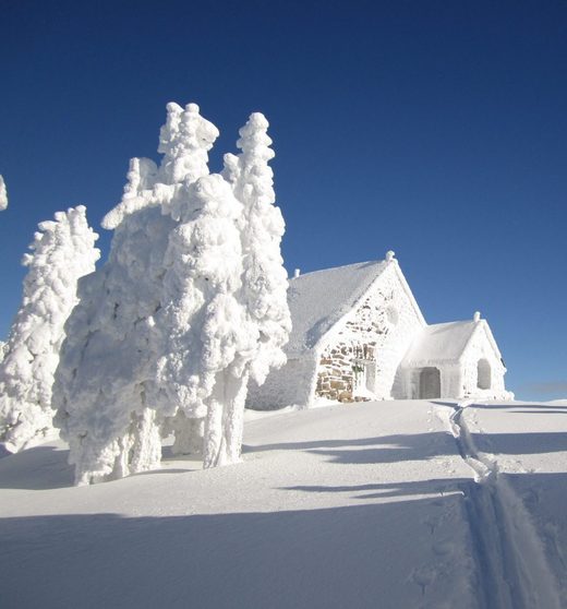Click to enlarge Snow Kingdom