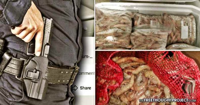 cops shrimp license