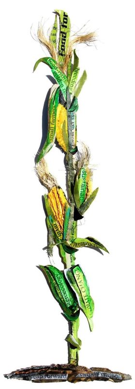 biofortified