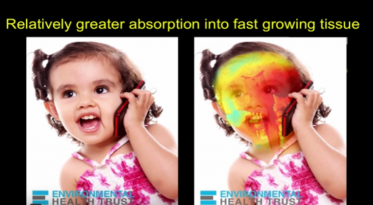 Click to enlarge cell phone