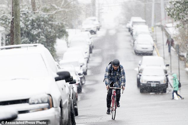 UT senior Marlow Payat, of Memphis, bikes along Laurel Ave during an afternoon snowfall in Knoxville, Tenn., on Tuesday, Jan. 16, 2018.