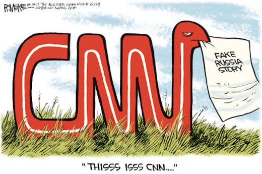 Click to enlarge CNNsnake