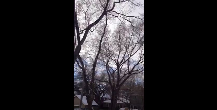 Trumpet sounds in Regina, SK