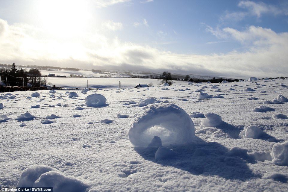 Click to enlarge These fascinating pictures show hundreds of snow rollers - a strange and rare weather phenomenon consisting of naturally-made snowballs