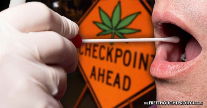 swab checks marijuana